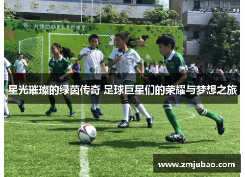 星光璀璨的绿茵传奇 足球巨星们的荣耀与梦想之旅